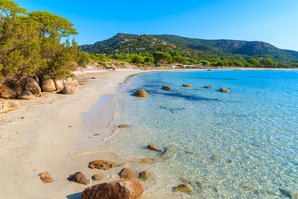 Saint Cyr sur Mer comment investir dans le viager en toute sérénité