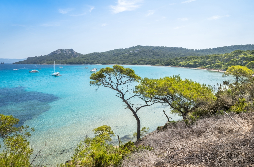 Saint Maxime : les clés pour réussir une vente en viager