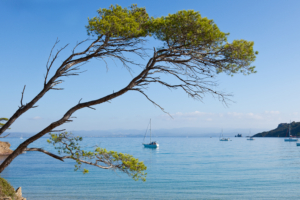 Saint Cyr sur Mer : le viager comme alternative à la vente classique