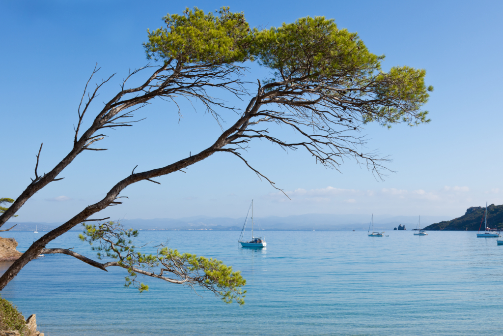 Saint Cyr sur Mer le viager comme alternative à la vente classique