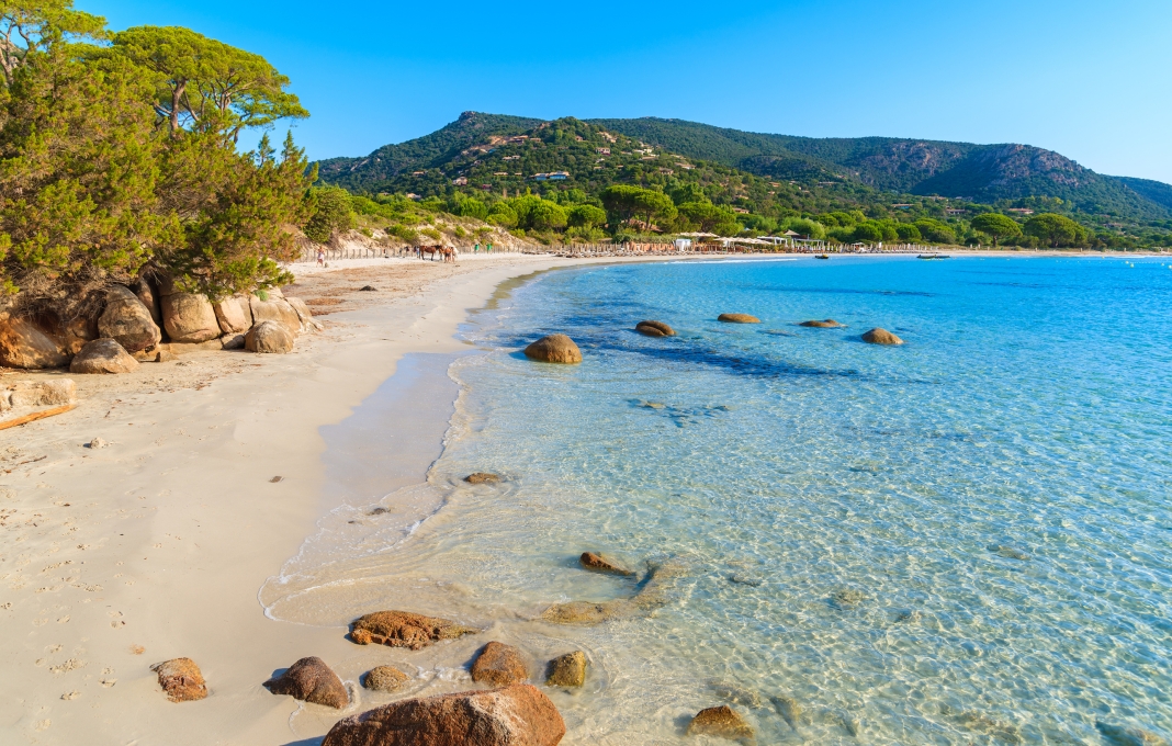 Saint Cyr sur Mer comment investir dans le viager en toute sérénité