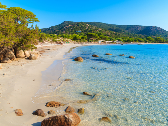Saint Cyr sur Mer comment investir dans le viager en toute sérénité