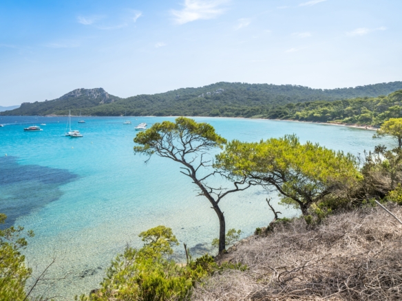 Sainte Maxime les clés pour réussir une vente en viager