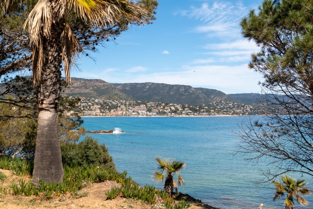 Le Lavandou les atouts fiscaux du viager pour les vendeurs et acheteurs