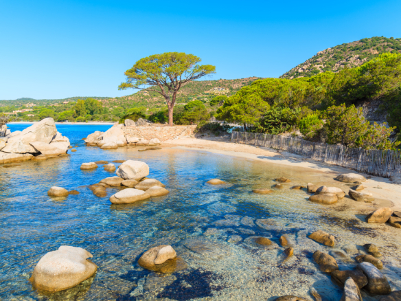 Le Pradet les étapes pour réussir une vente en viager