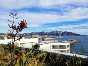 Marseille 6ème réussir une vente en nue-propriété