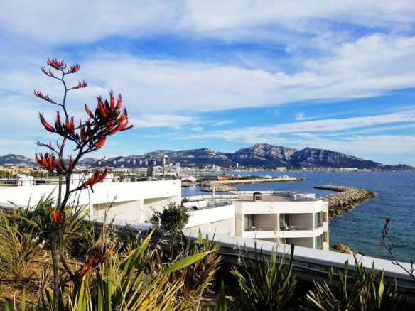 Marseille 6ème réussir une vente en nue-propriété