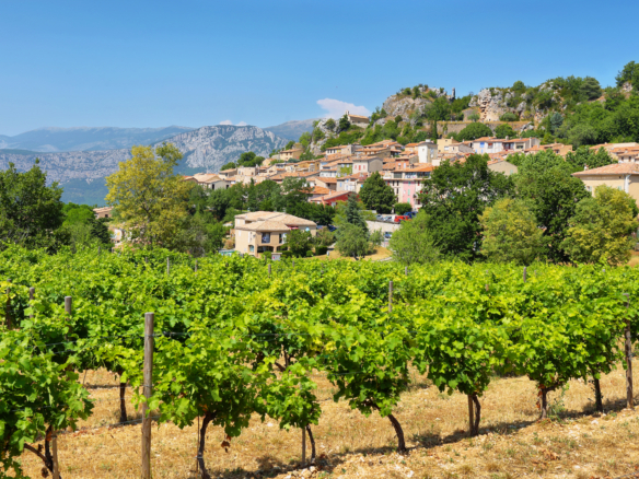 Pignans viager occupé ou libre, quelle option choisir