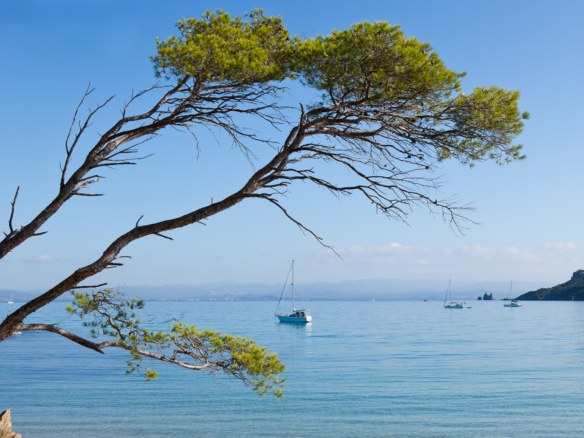 Saint Cyr sur Mer le viager comme alternative à la vente classique