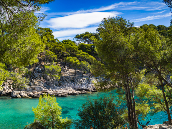 Sainte Maxime viager occupé ou libre, quelle option choisir