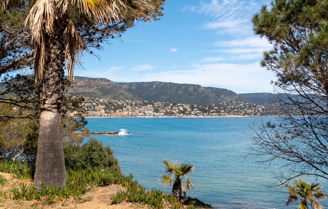 Le Lavandou les atouts fiscaux du viager pour les vendeurs et acheteurs