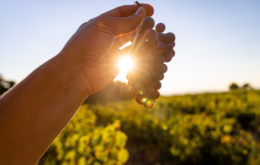 Pignans le viager comme alternative à la vente classique