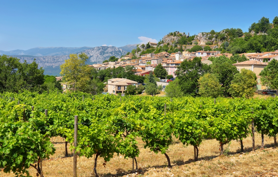 Pignans viager occupé ou libre, quelle option choisir