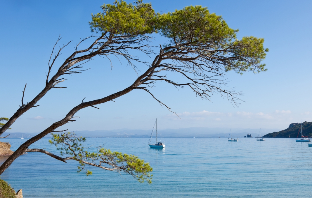 Saint Cyr sur Mer le viager comme alternative à la vente classique