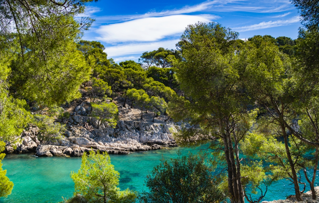 Sainte Maxime viager occupé ou libre, quelle option choisir